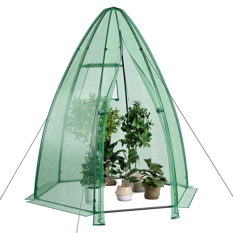 5.5 x 5.5 x 6 Feet Portable Mini Greenhouse with All-Weather PE Cover by DirectDeals