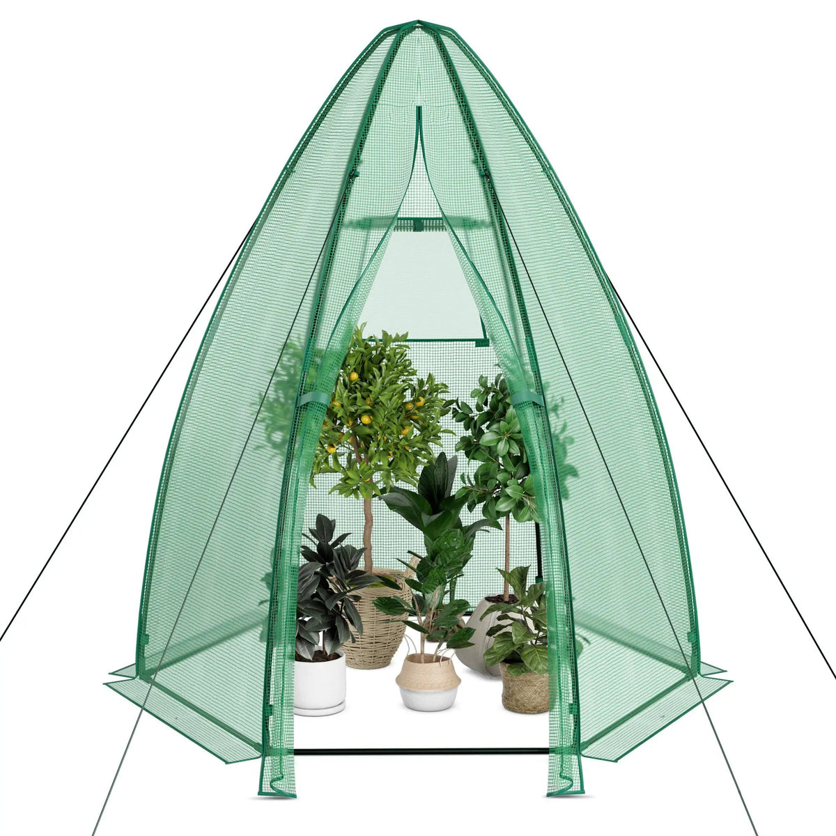 5.5 x 5.5 x 6 Feet Portable Mini Greenhouse with All-Weather PE Cover by DirectDeals