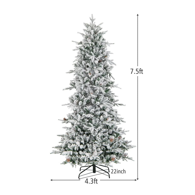 6 Feet Pre by DirectDeals