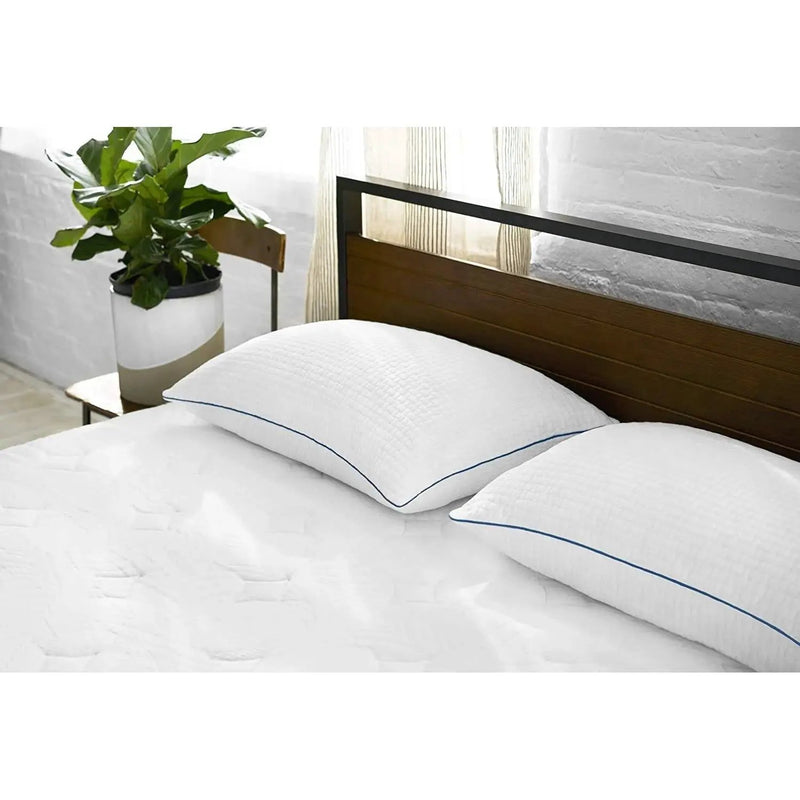 Set of 2 Queen size Memory Foam Pillow with Removable Machine Washable Cover by HomePacific