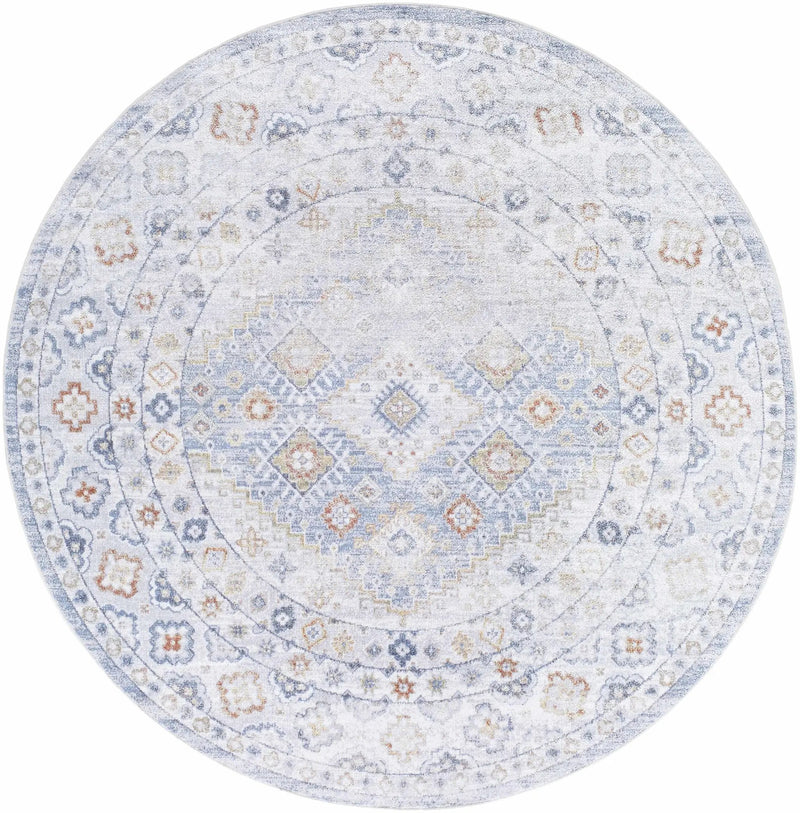 Agaton Blue Washable Area Rug by Boutique Rugs