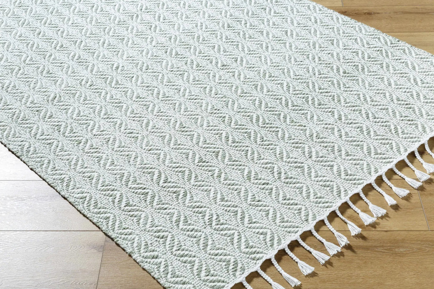 Anelia Sage Area Rug - Clearance by Boutique Rugs