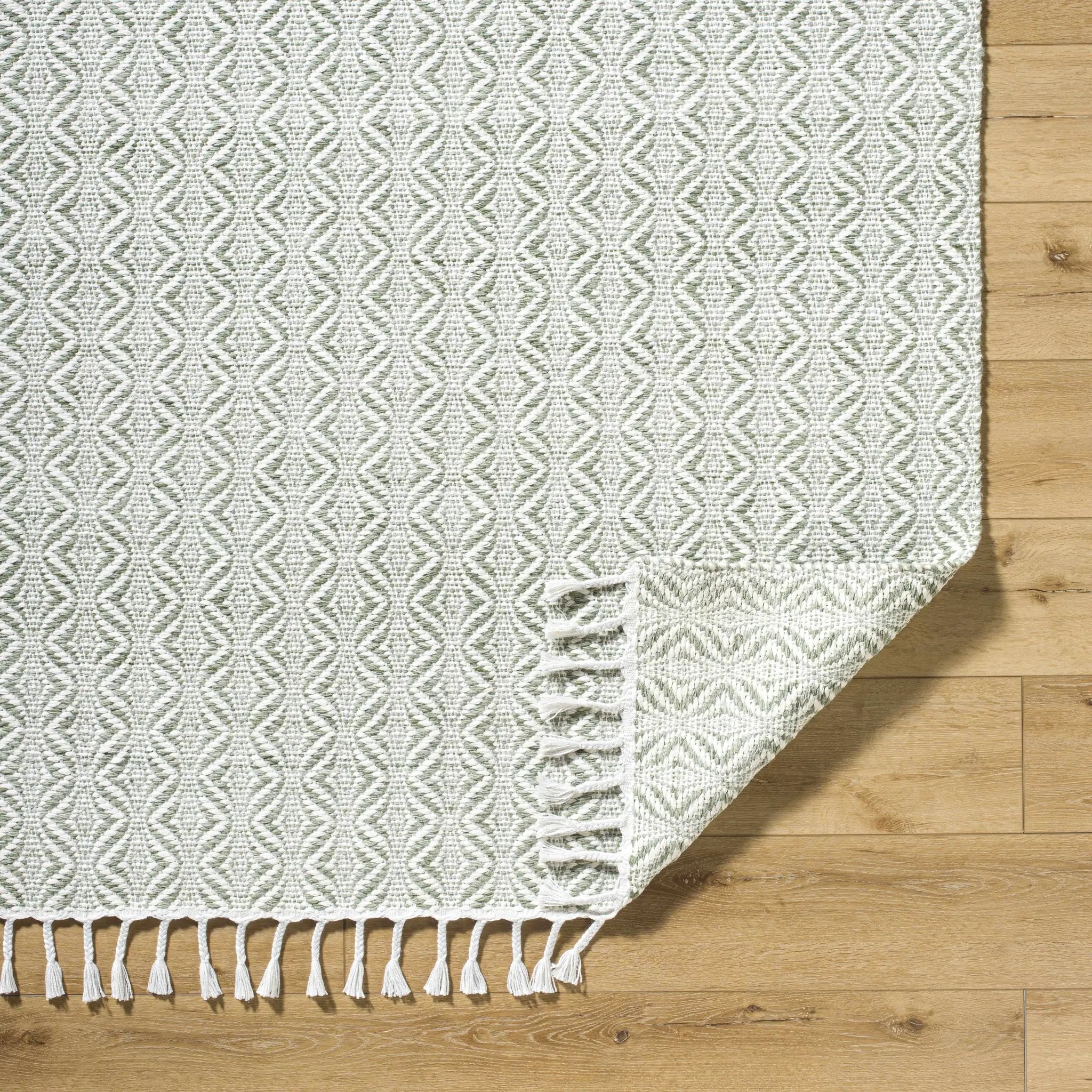 Anelia Sage Area Rug - Clearance by Boutique Rugs