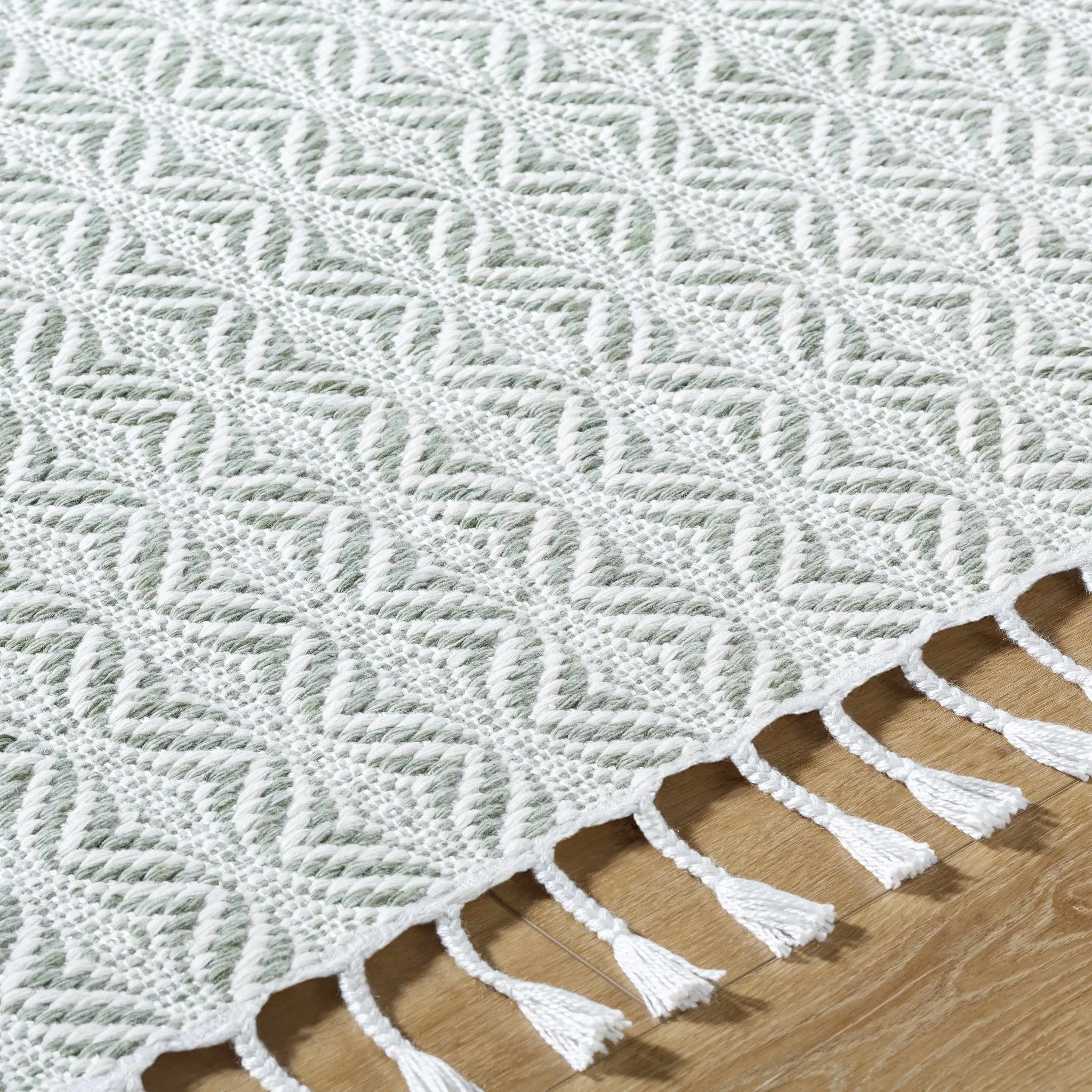 Anelia Sage Area Rug - Clearance by Boutique Rugs