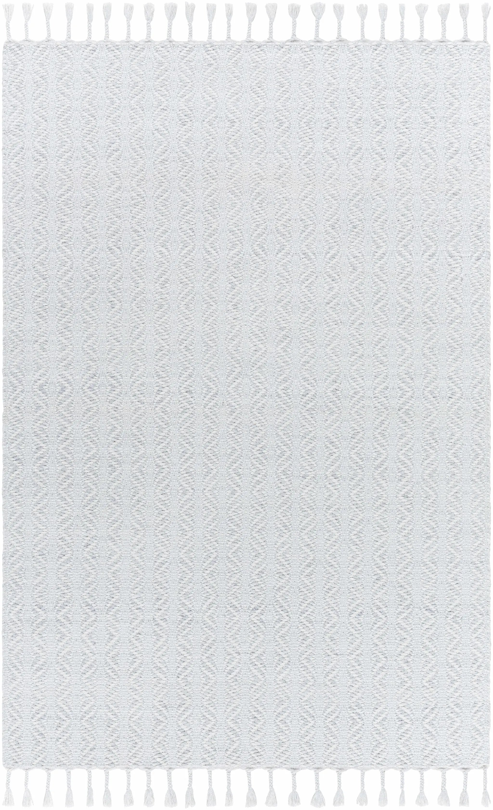 Anelia Powder Blue Area Rug - Clearance by Boutique Rugs