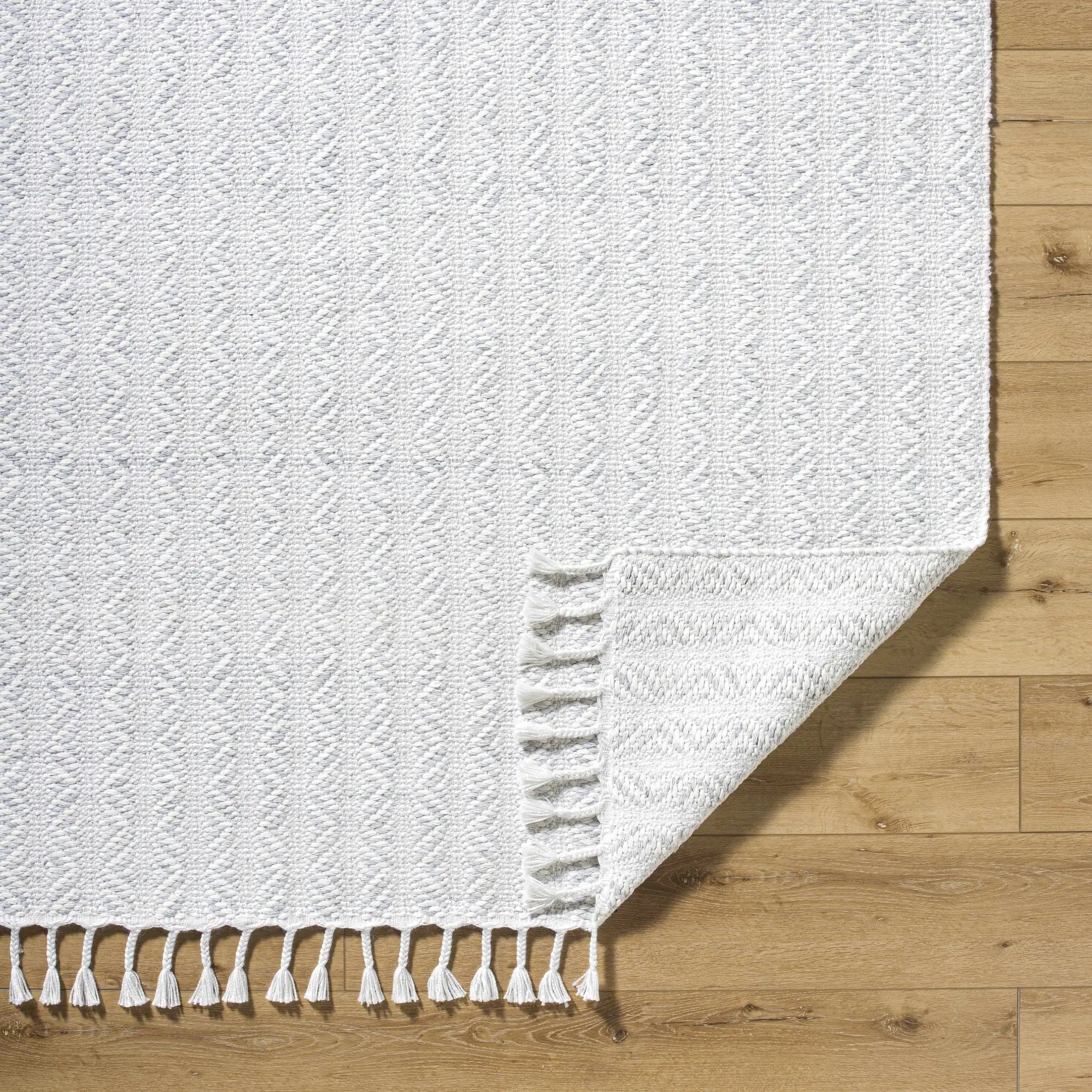 Anelia Powder Blue Area Rug - Clearance by Boutique Rugs