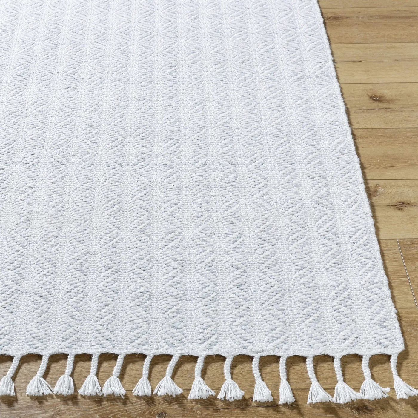 Anelia Powder Blue Area Rug - Clearance by Boutique Rugs