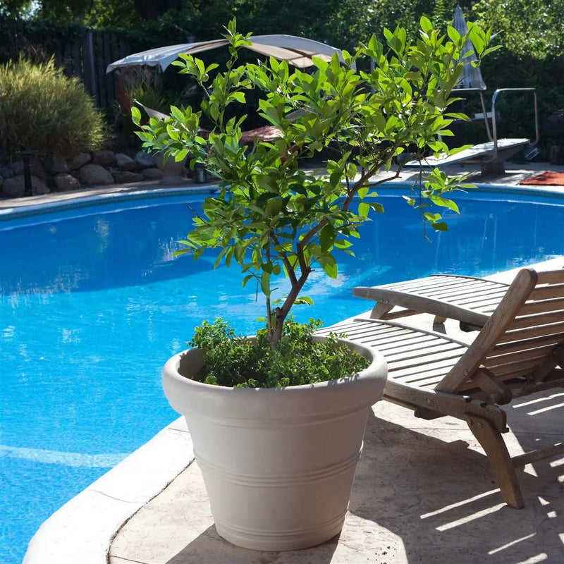 Round 26-inch Outdoor Patio Planter for Small Tree in Weathered Concrete Finish by HomePacific