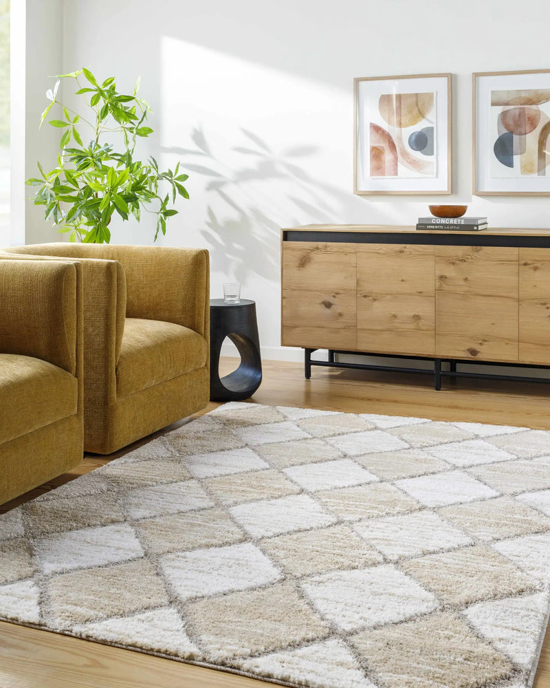 Aideen Cream Shag Area Rug - Clearance by Boutique Rugs