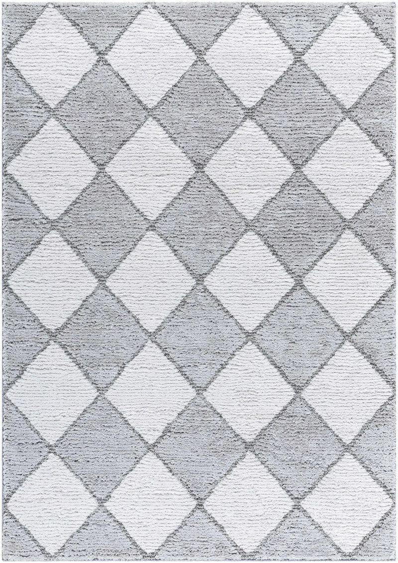 Aideen Gray Shag Area Rug - Clearance by Boutique Rugs
