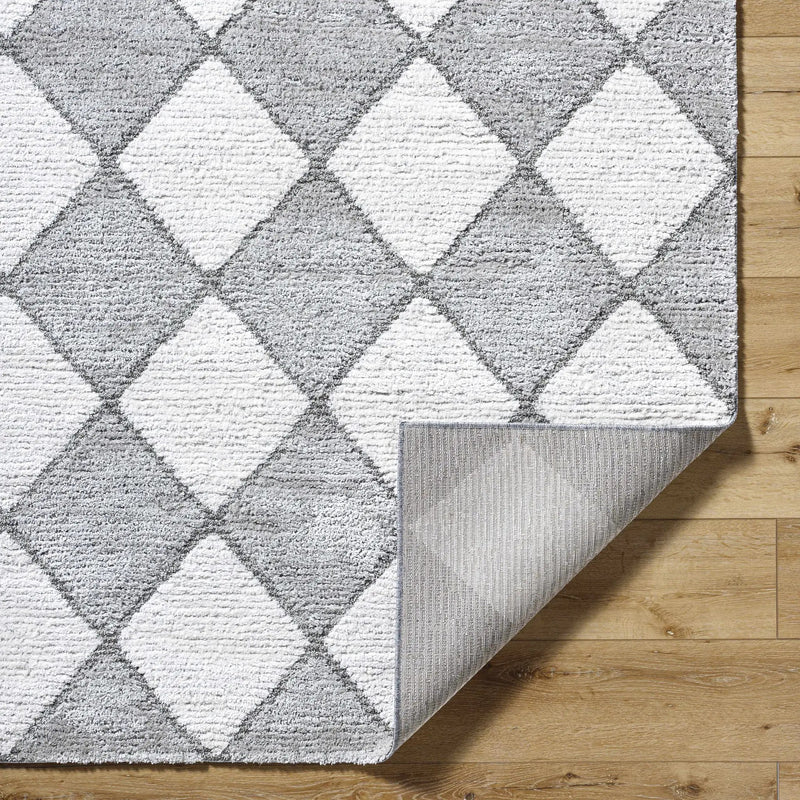 Aideen Gray Shag Area Rug - Clearance by Boutique Rugs