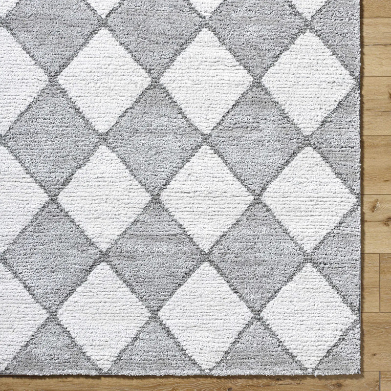 Aideen Gray Shag Area Rug - Clearance by Boutique Rugs