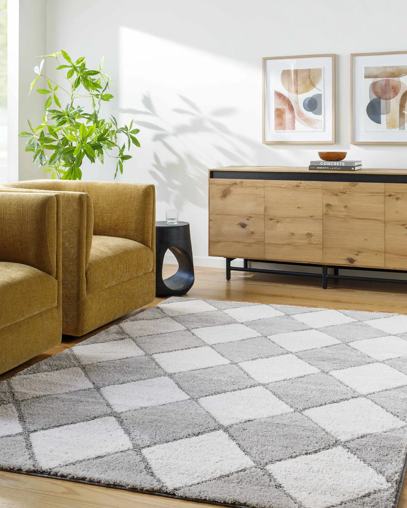 Aideen Gray Shag Area Rug - Clearance by Boutique Rugs