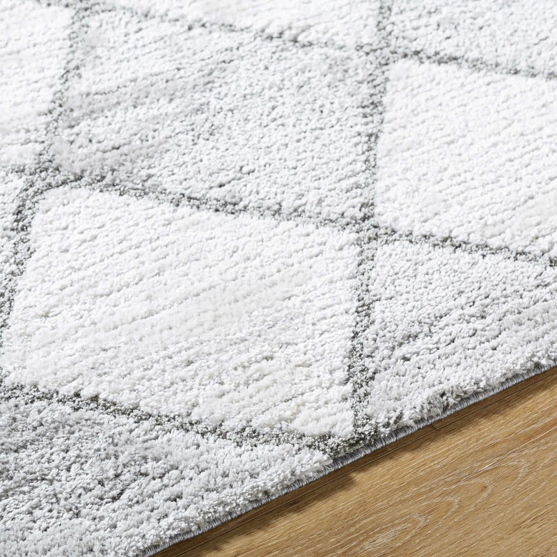 Aideen Gray Shag Area Rug - Clearance by Boutique Rugs