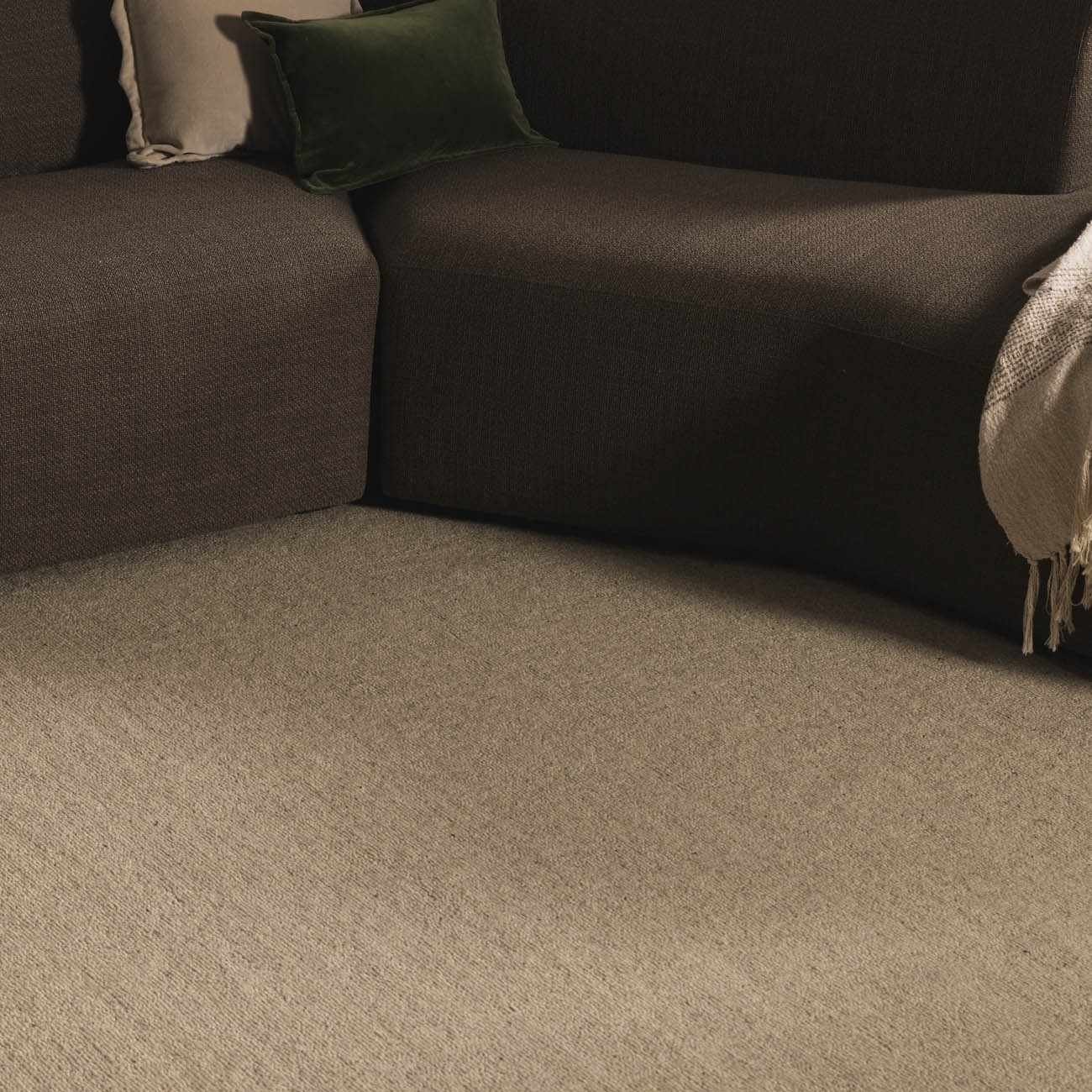 Tareq Area Rug - Clearance by Boutique Rugs
