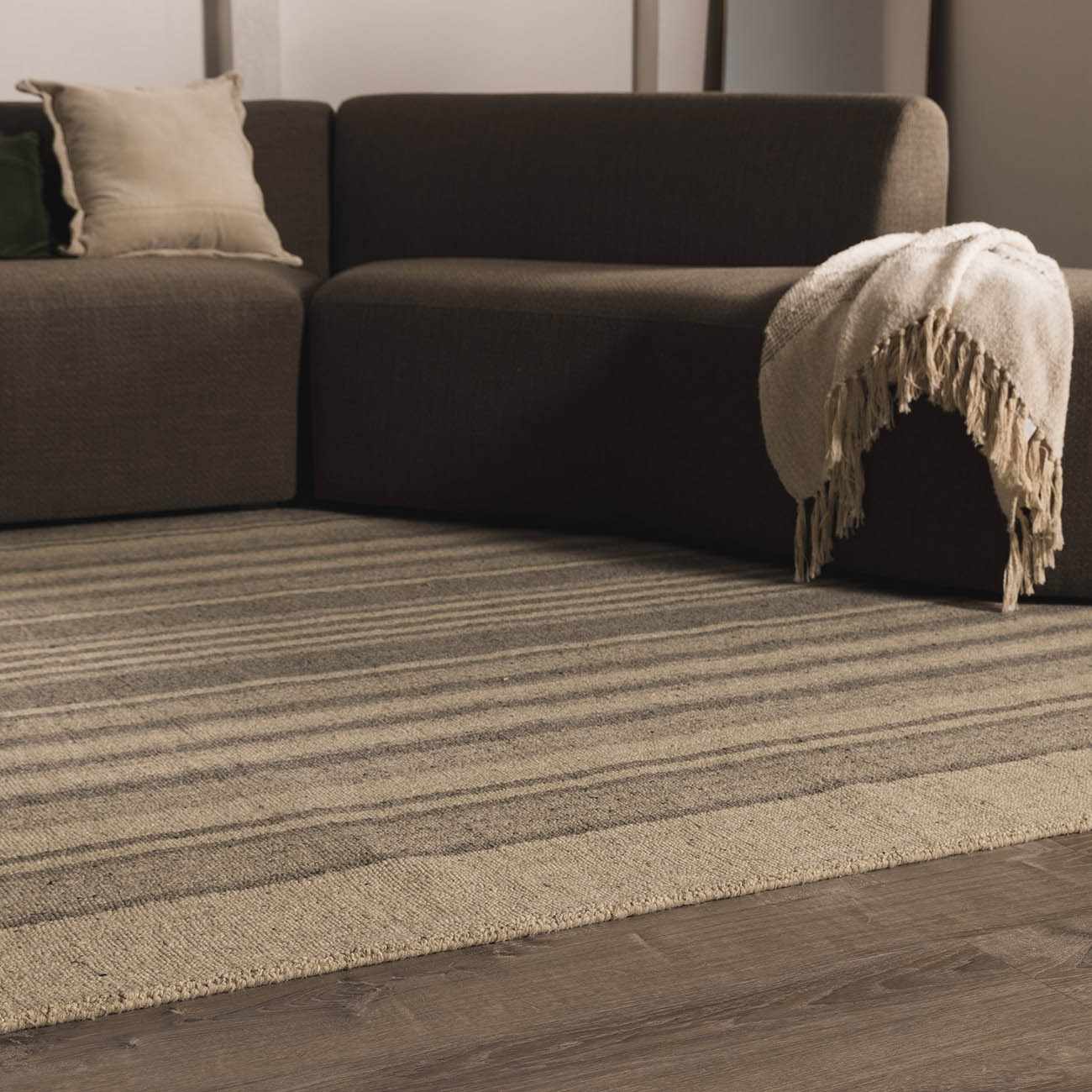 Adelio Area Rug - Clearance by Boutique Rugs