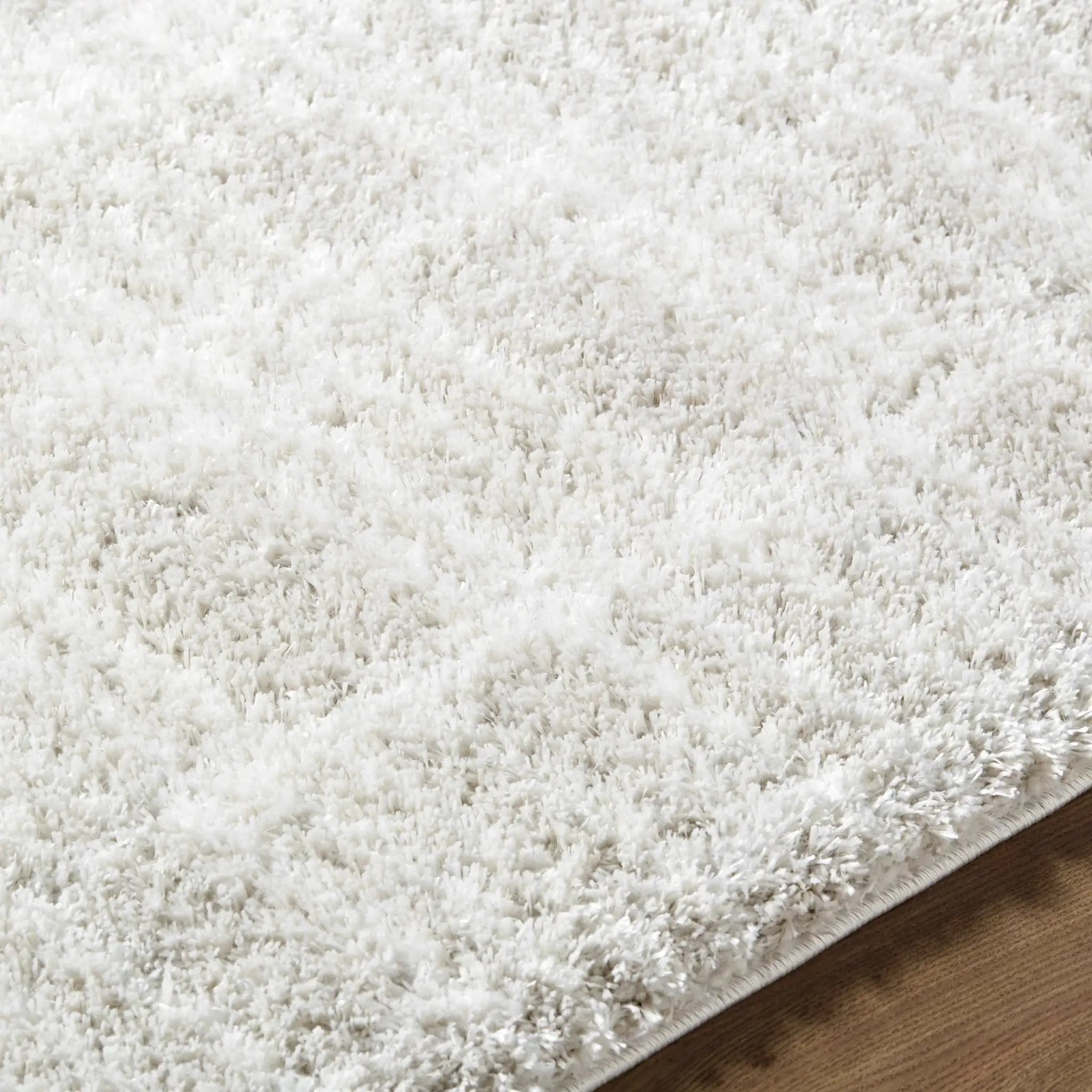 Alamea Area Rug by Boutique Rugs