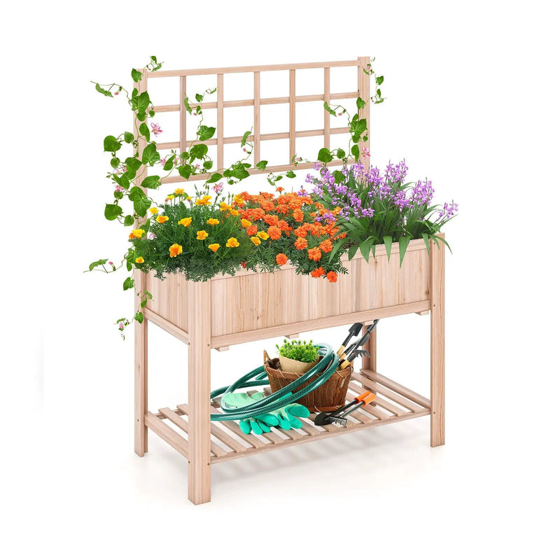 Raised Garden Bed Elevated Wooden Planter Box with Trellis by DirectDeals