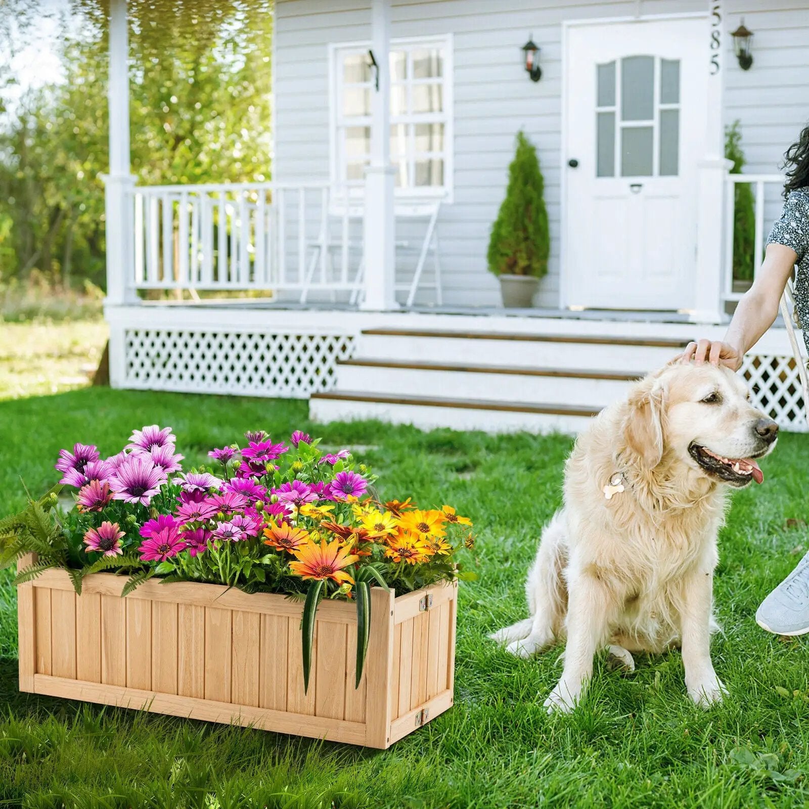 Folding Wooden Raised Garden Bed with Removable Bottom for Herbs Fruits Flowers by DirectDeals