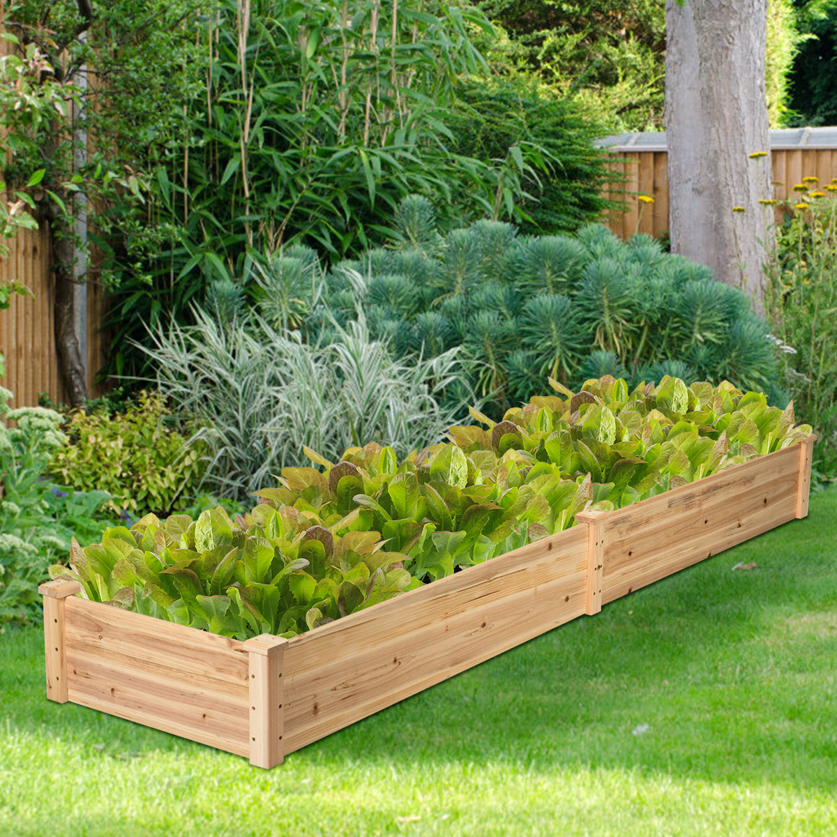 Wooden Vegetable Raised Garden Bed for Backyard Patio Balcony, photo 6 of 8