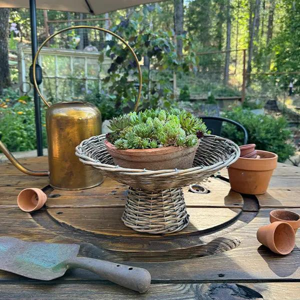 Round Willow Riser by Decor Steals