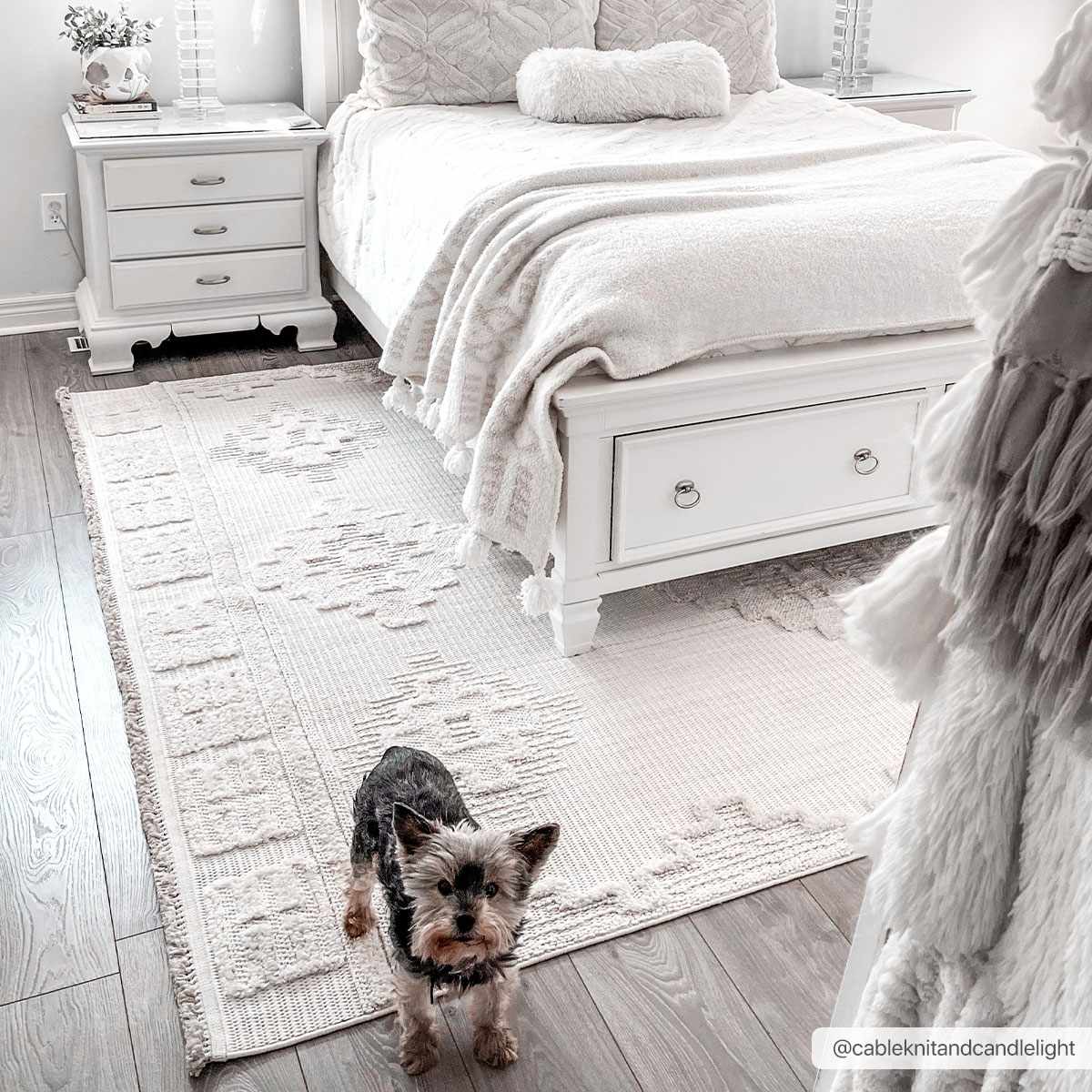 Rosales High-Low Rustic Rug by Boutique Rugs