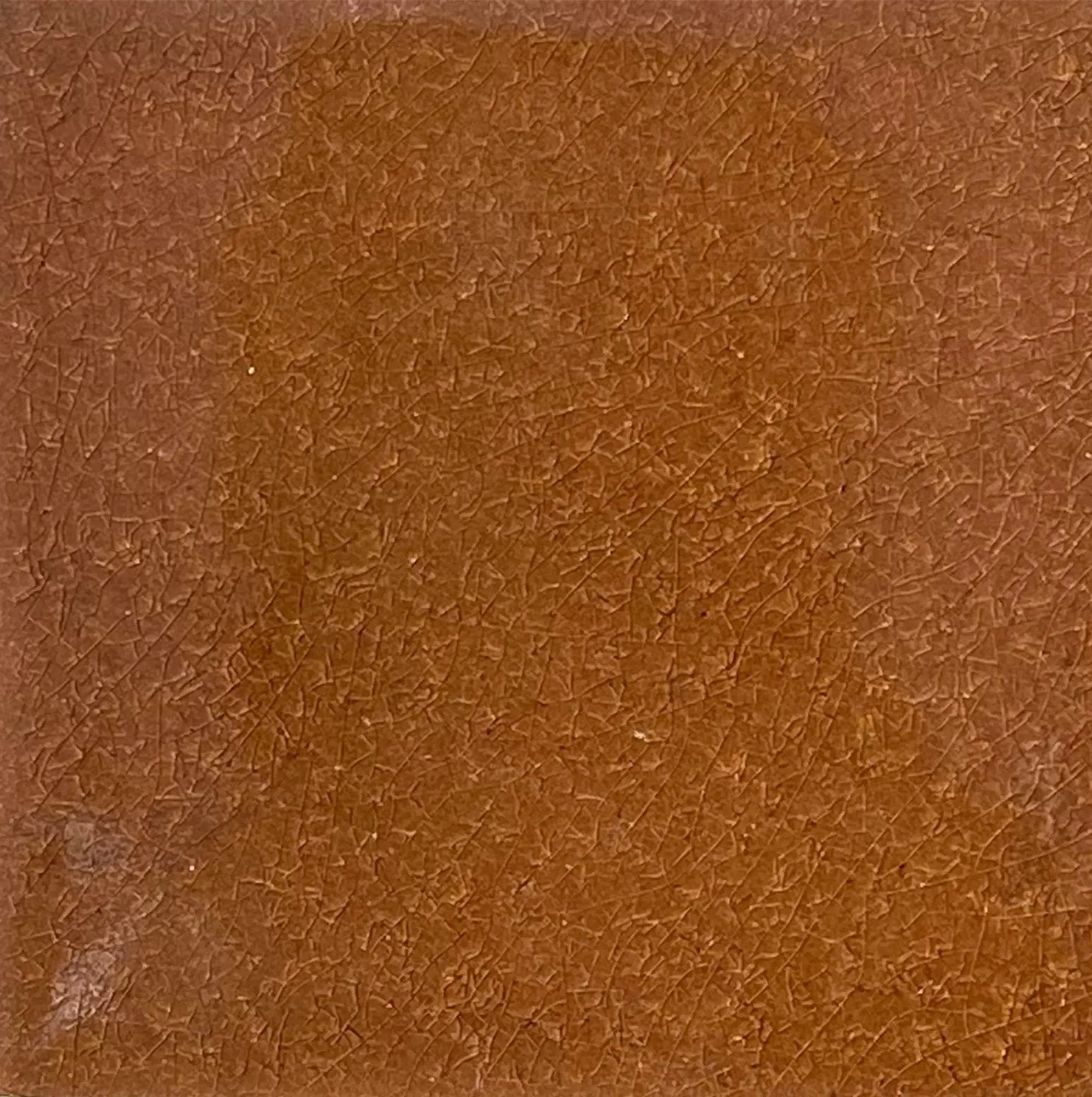 Rose by Place Of Clay