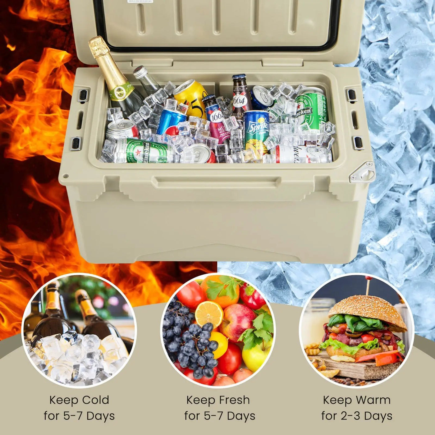 Rotomolded Cooler with Integrated Cup Holders and Bottle Opener by DirectDeals