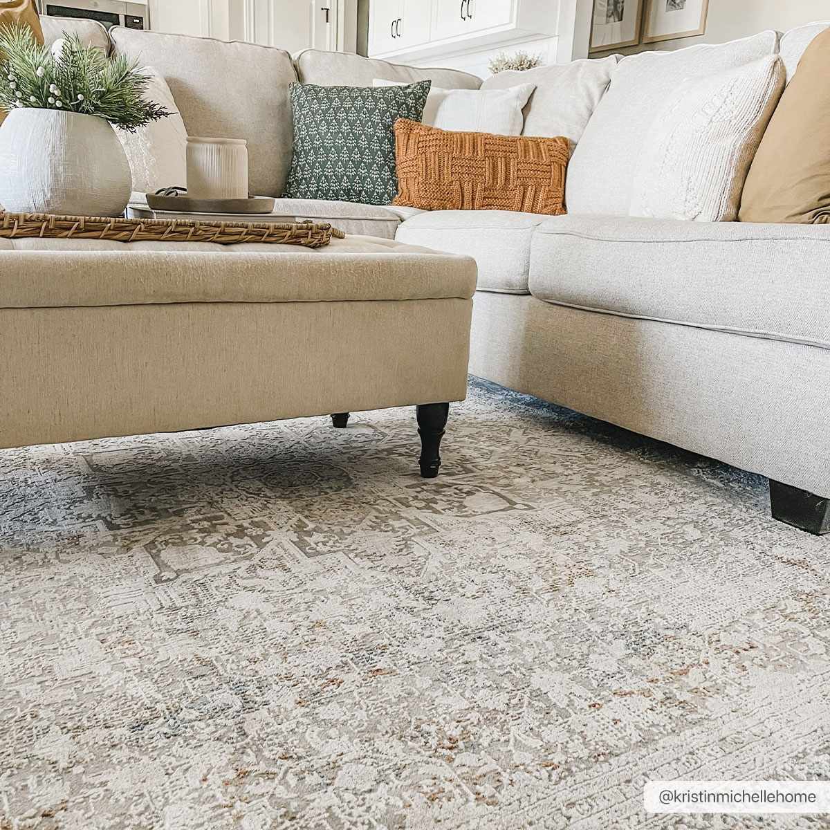Eley Traditional Area Rug - Clearance by Boutique Rugs
