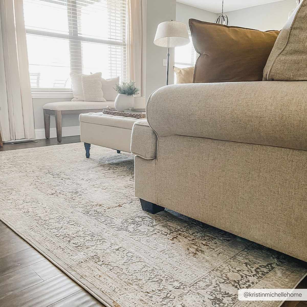 Eley Traditional Area Rug - Clearance by Boutique Rugs
