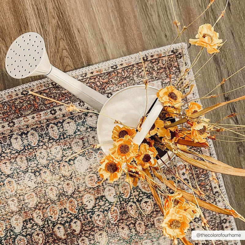 Maligaya Distressed Washable Rug - Clearance by Boutique Rugs