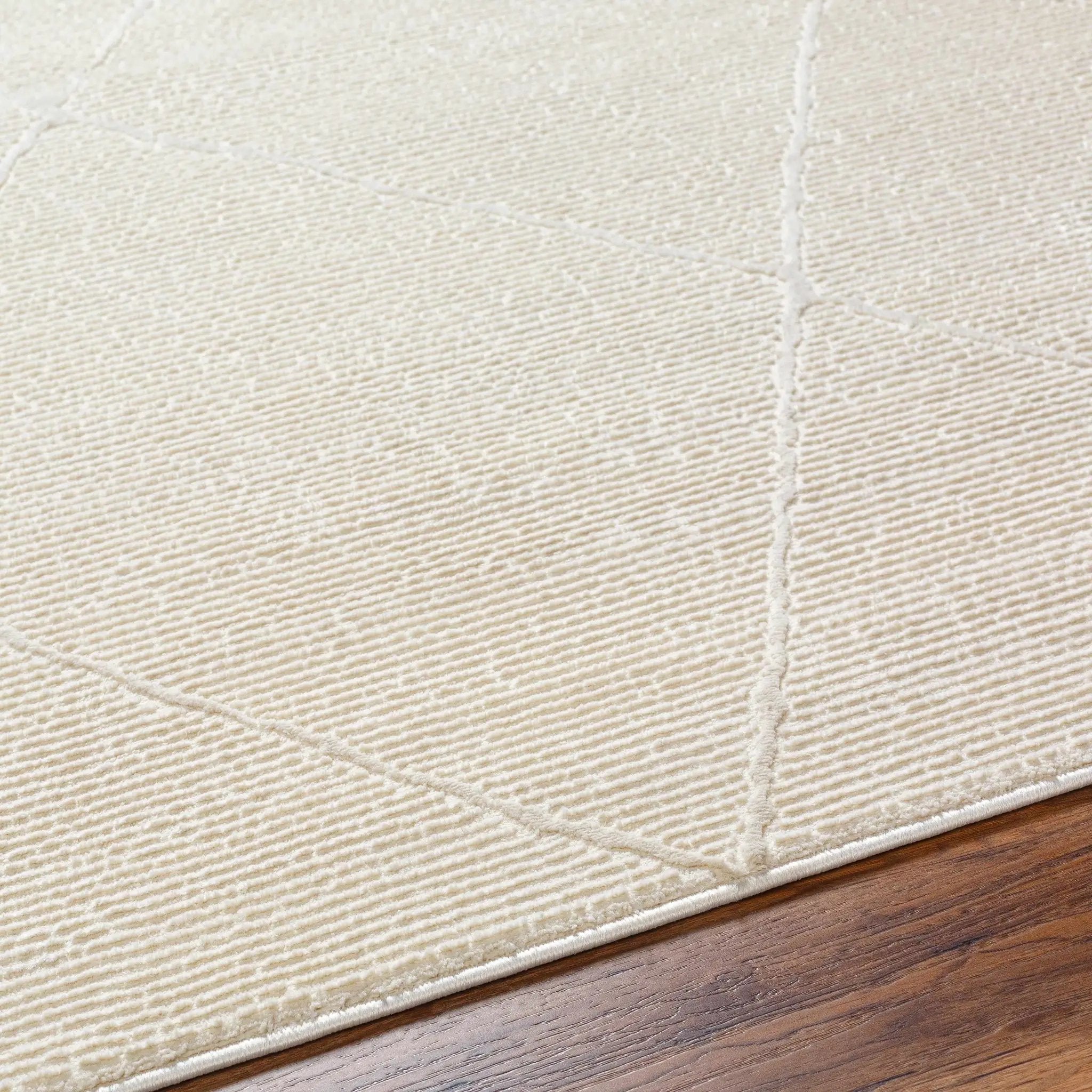 Aldis Cream Plush Textured Washable Rug by Boutique Rugs