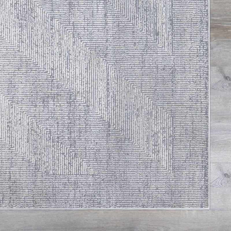 Ayano Plush Textured Washable Rug by Boutique Rugs