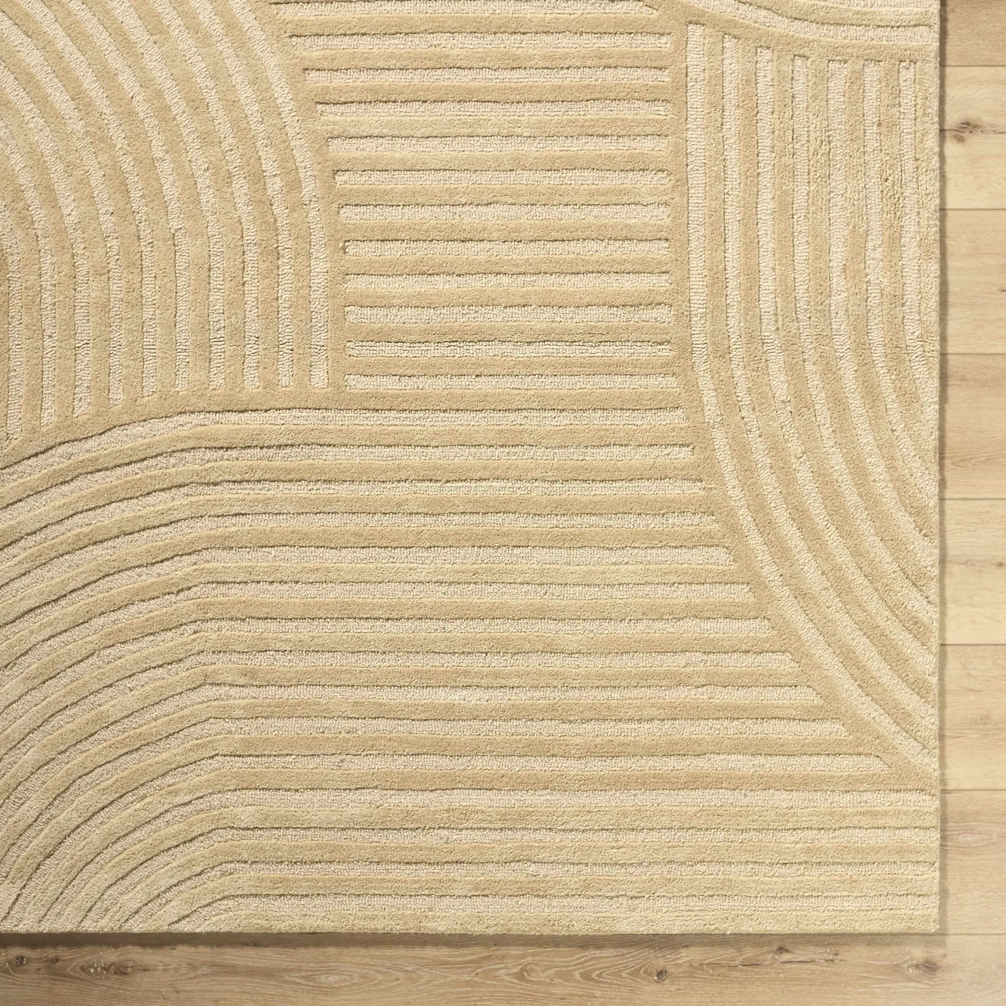 Whan Beige Area Rug by Boutique Rugs