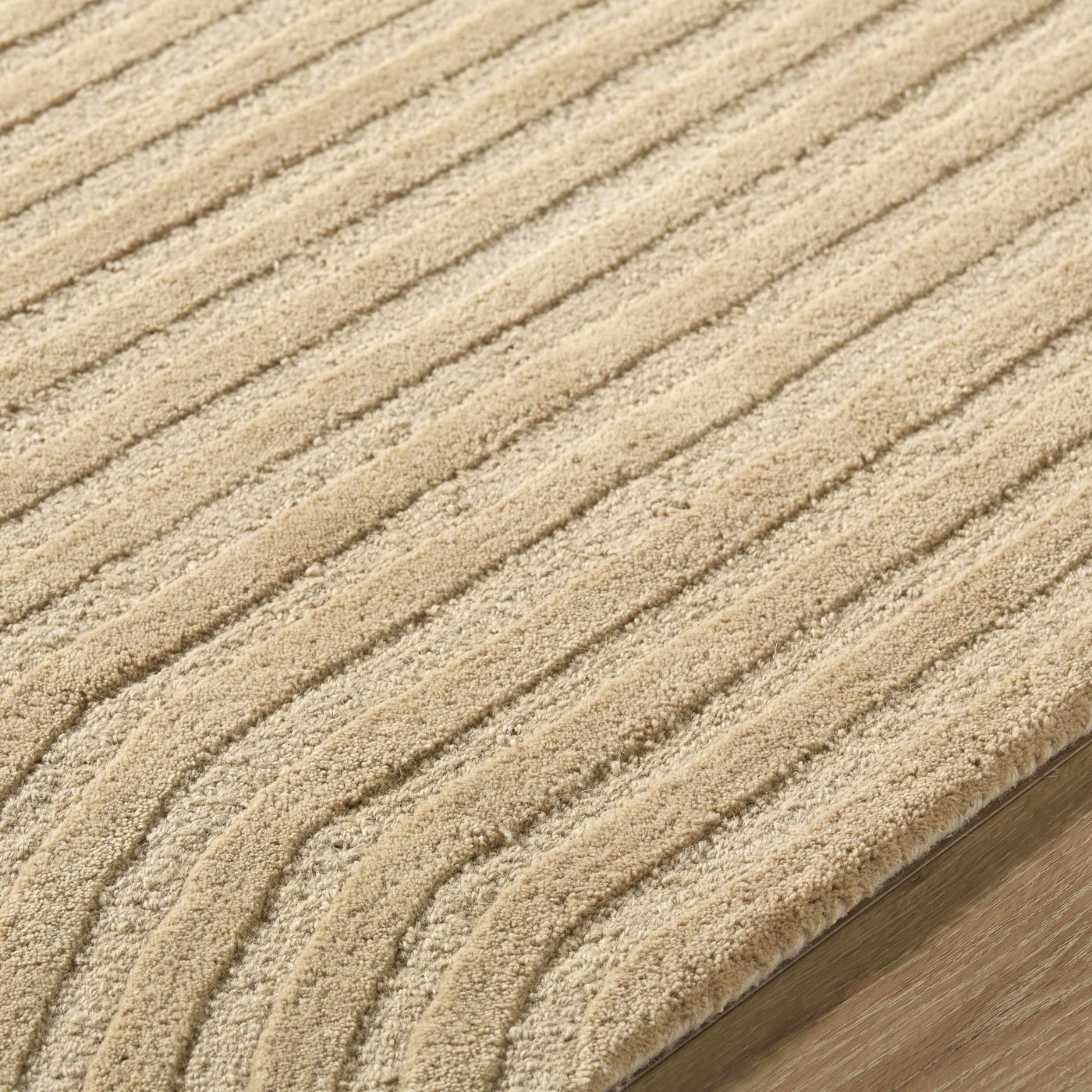 Whan Beige Area Rug by Boutique Rugs