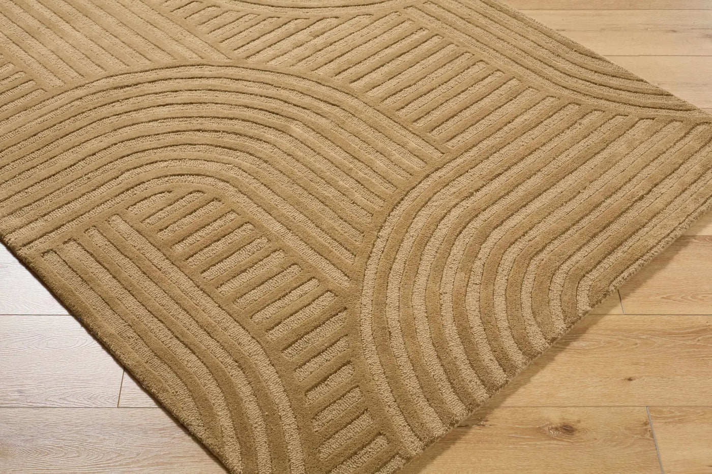 Whan Camel Area Rug by Boutique Rugs