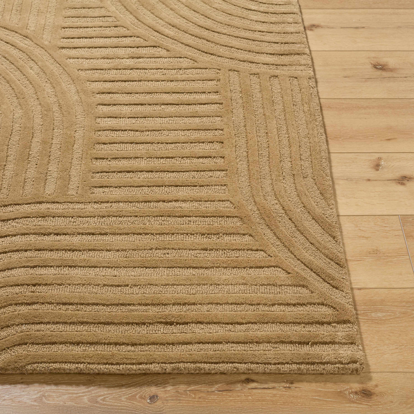 Whan Camel Area Rug by Boutique Rugs