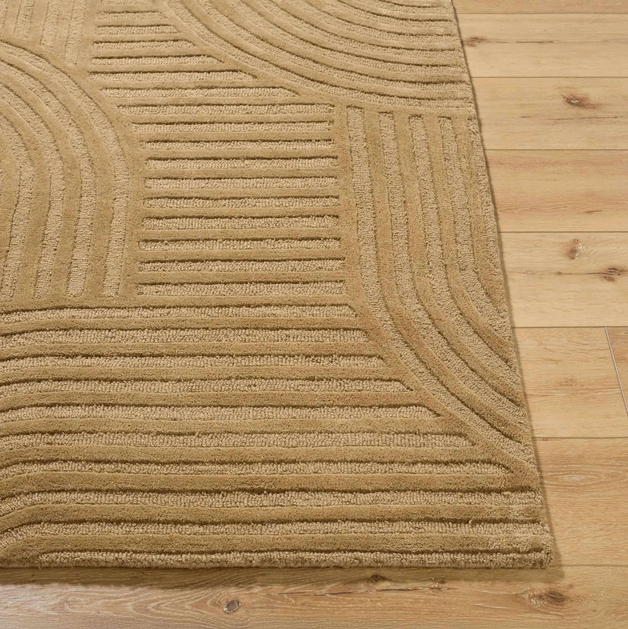 Whan Camel Area Rug by Boutique Rugs