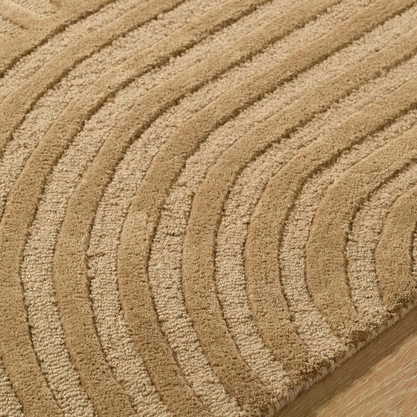 Whan Camel Area Rug by Boutique Rugs