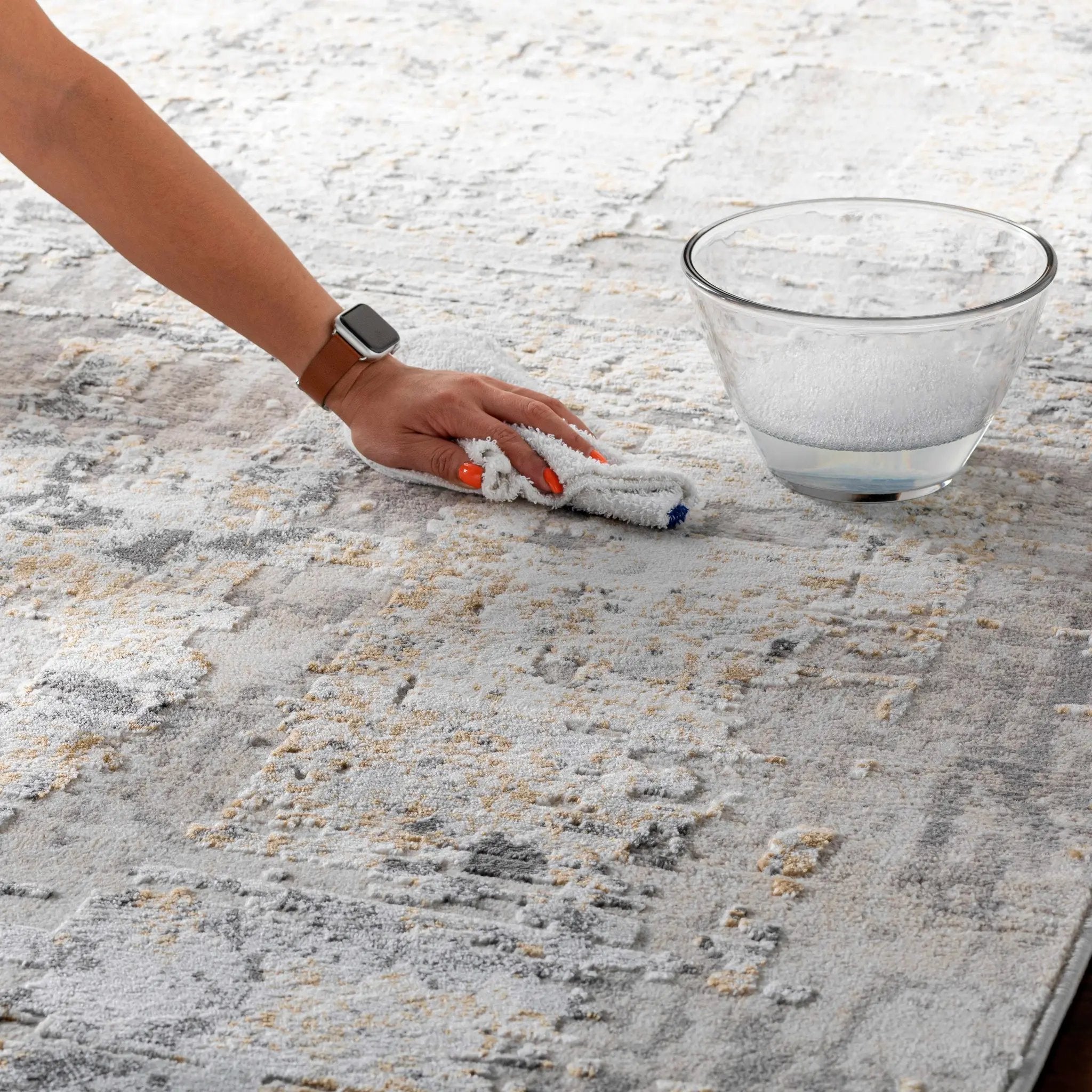 Schaefferstown Area Rug by Boutique Rugs