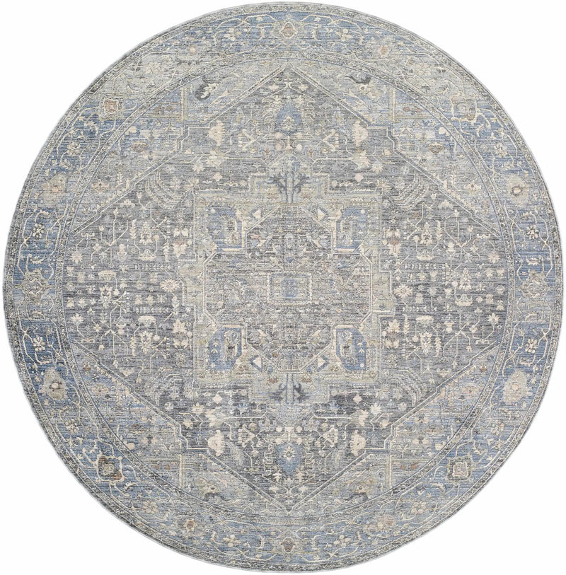 Alina Area Rug - Clearance by Boutique Rugs