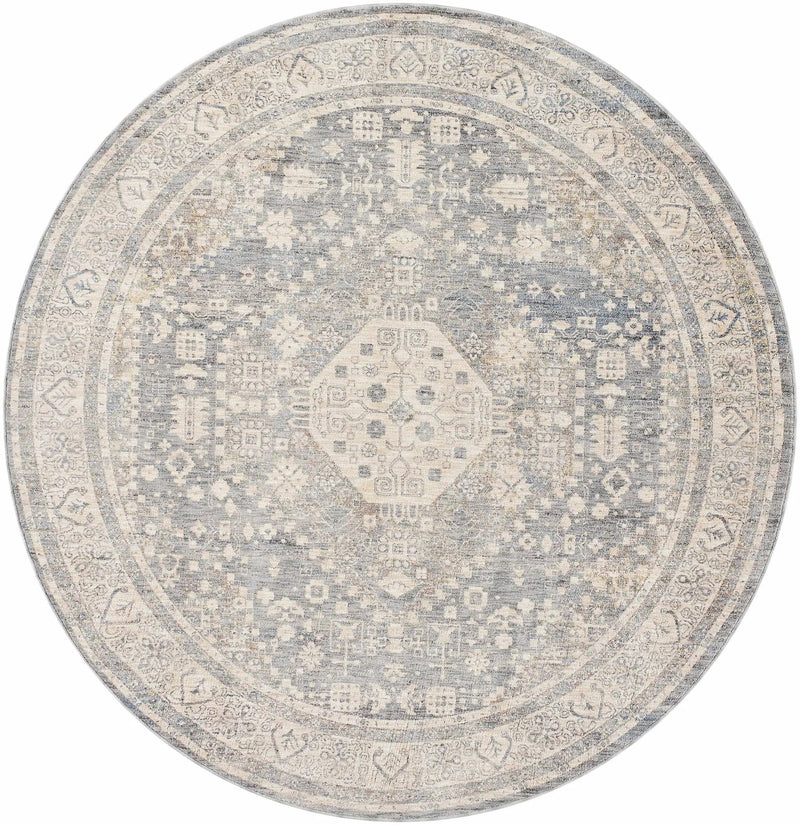 Artan Area Rug - Clearance by Boutique Rugs