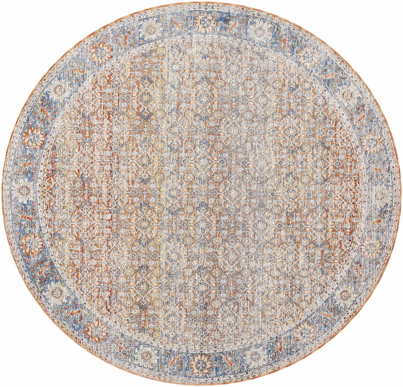 Dalit Area Rug - Clearance by Boutique Rugs
