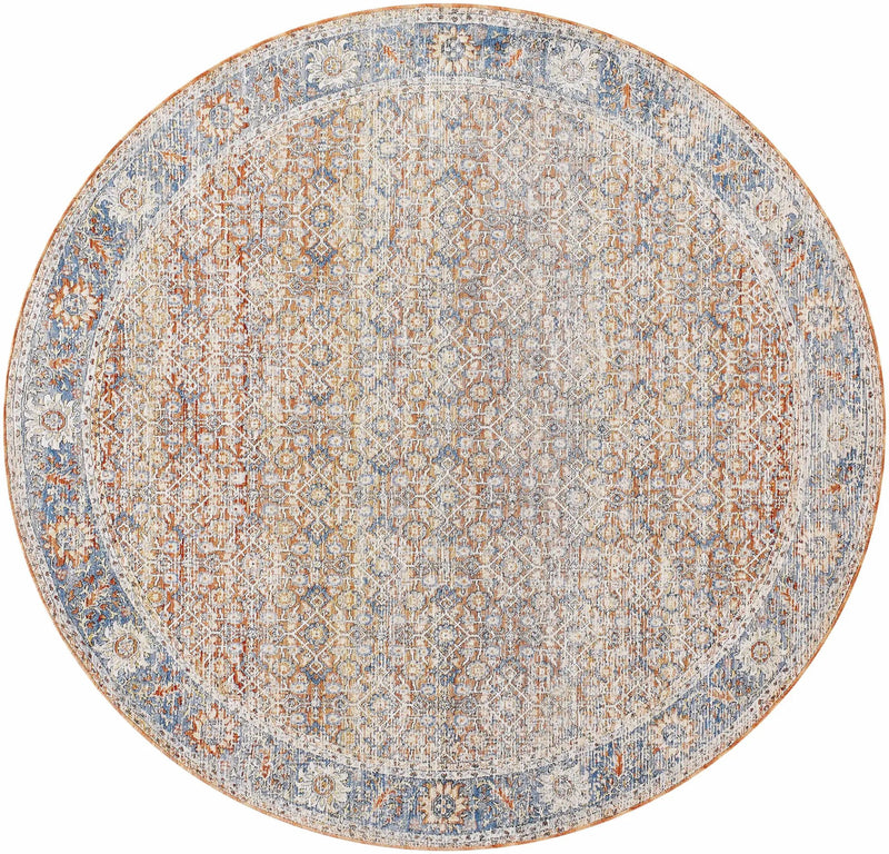 Dalit Area Rug - Clearance by Boutique Rugs