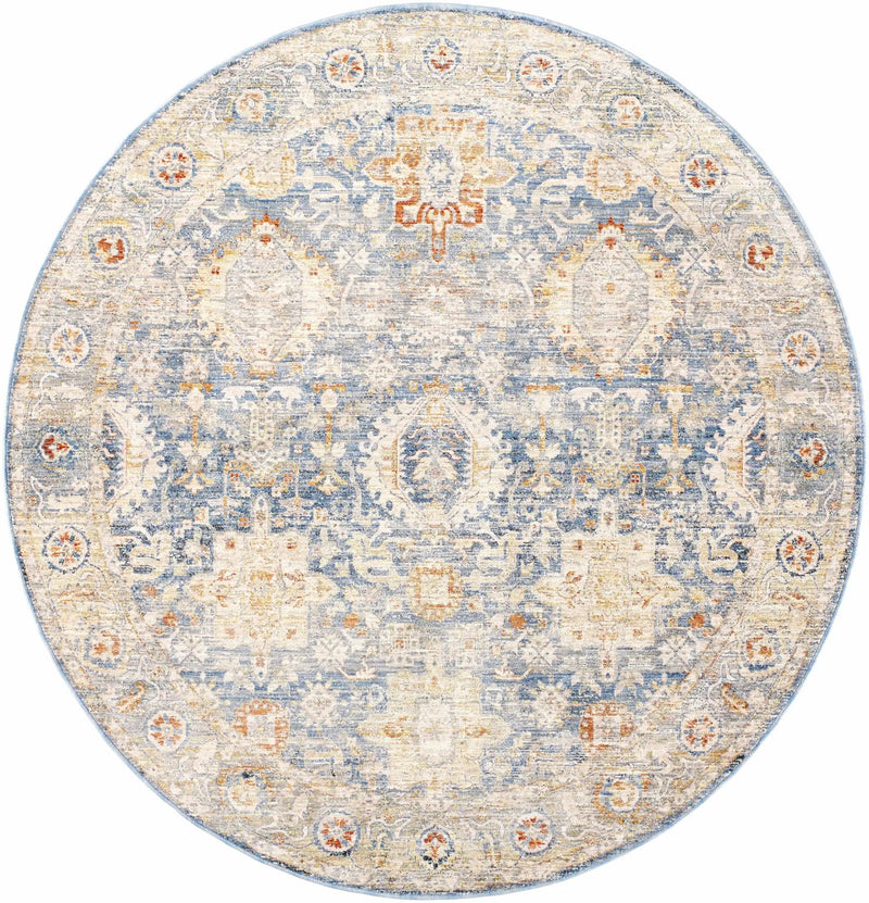 Eytan Area Rug - Clearance by Boutique Rugs