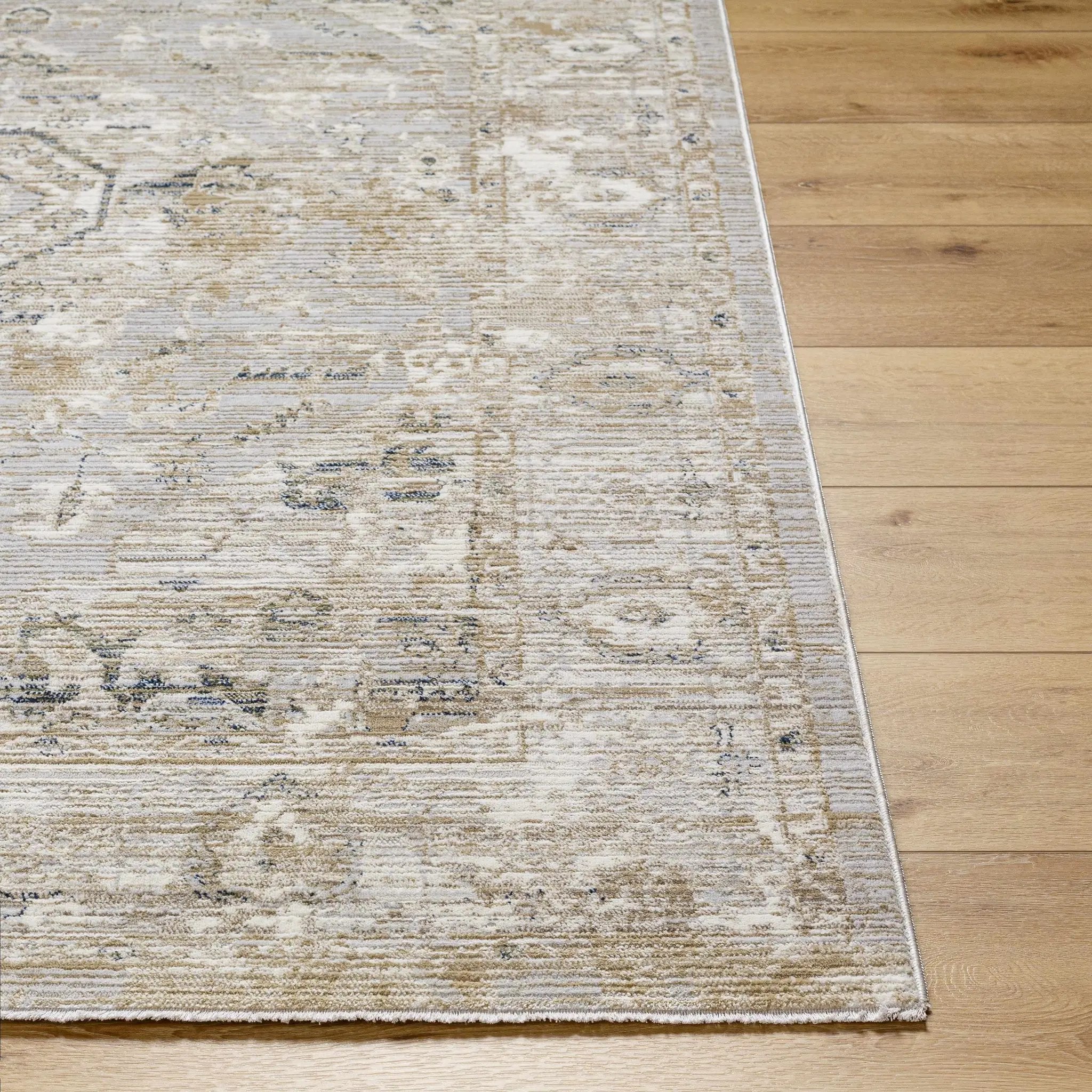 Gioia Area Rug by Boutique Rugs