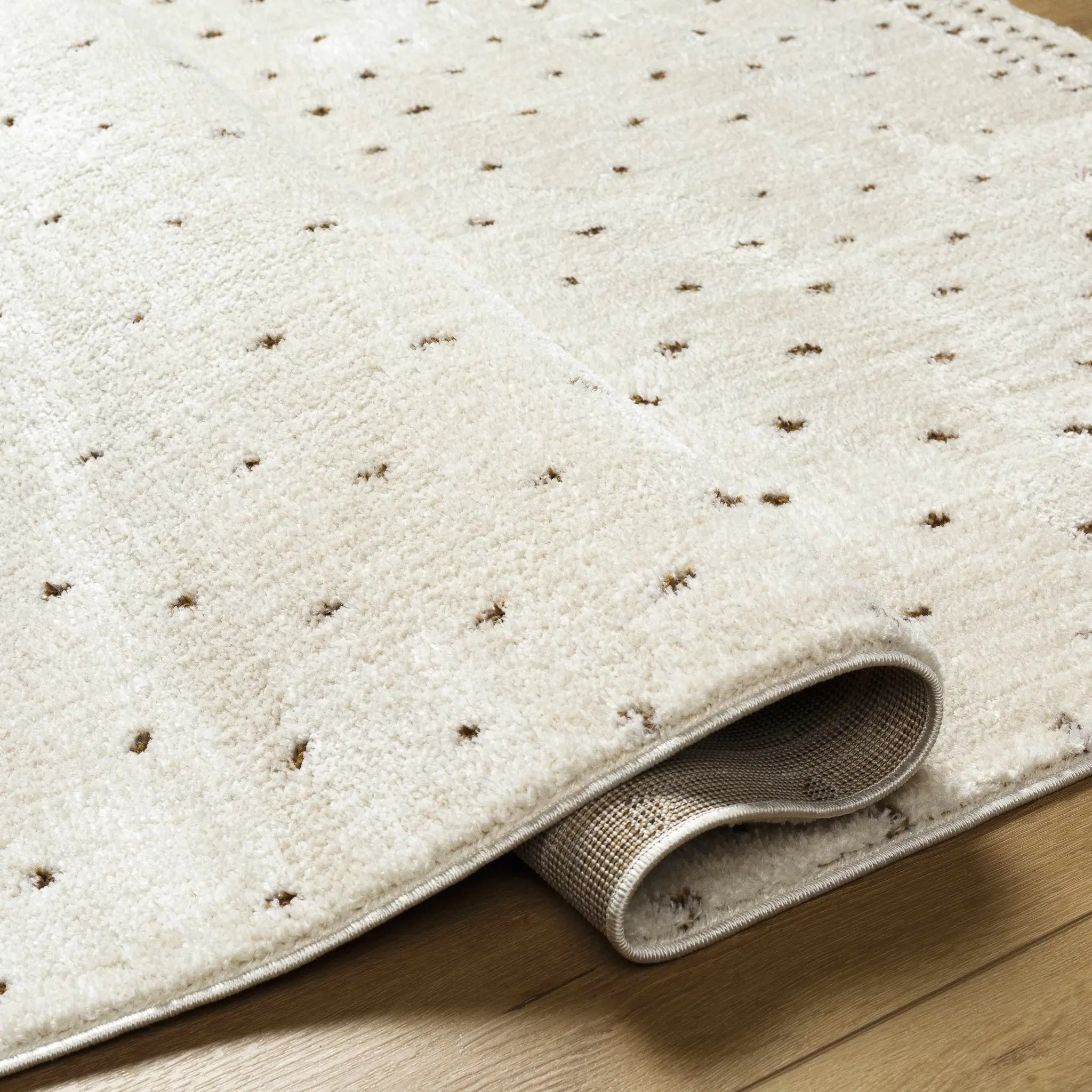 Julie Ivory & Brown Area Rug by Boutique Rugs