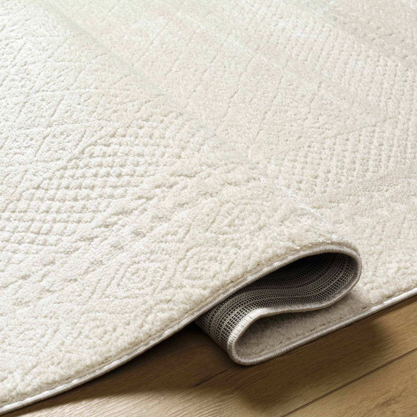 Julio Ivory Area Rug by Boutique Rugs