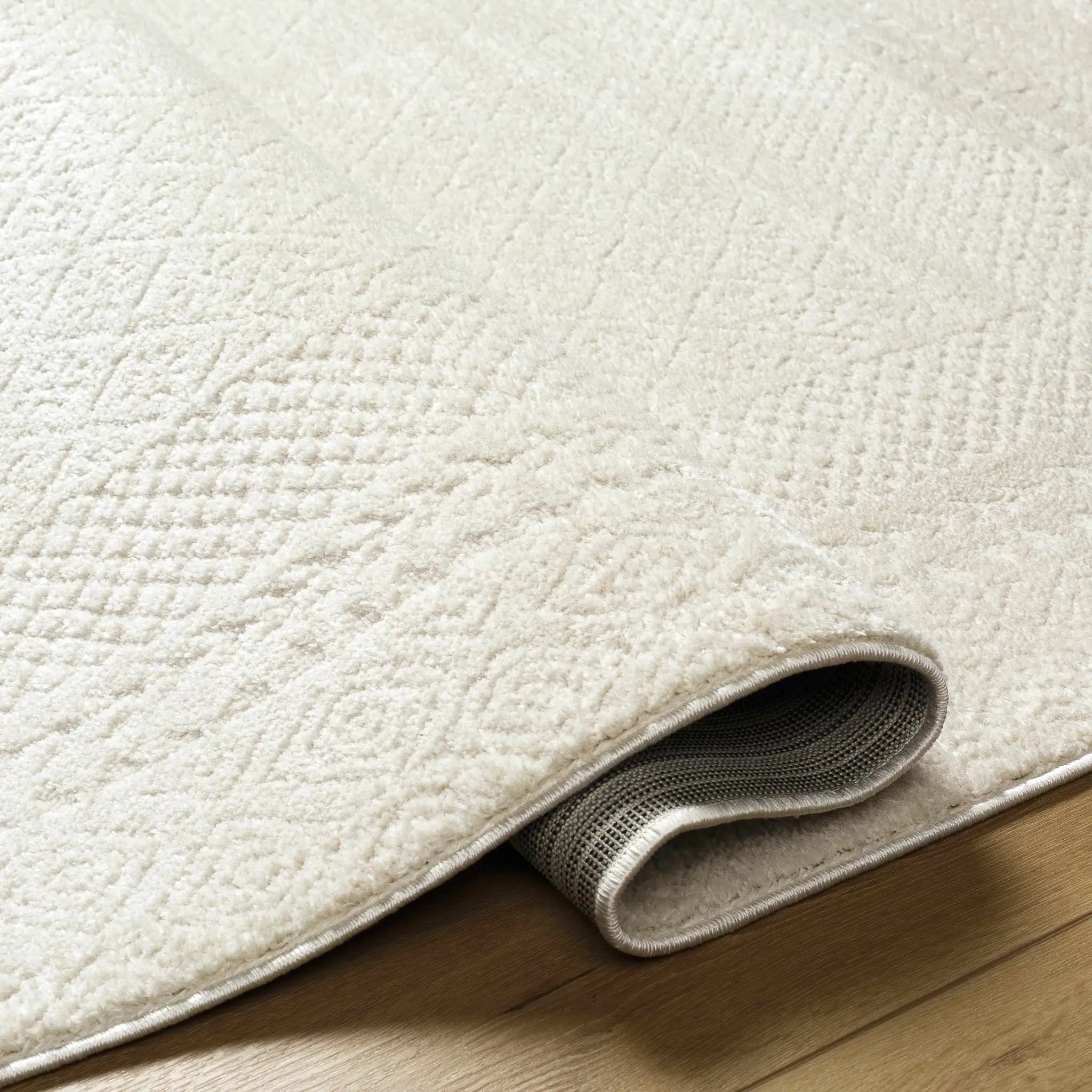 Julio Ivory Area Rug by Boutique Rugs