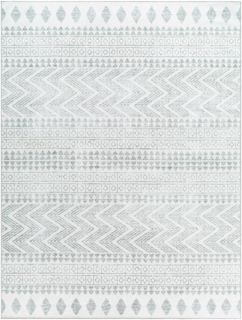 Danon Washable Area Rug - Clearance by Boutique Rugs